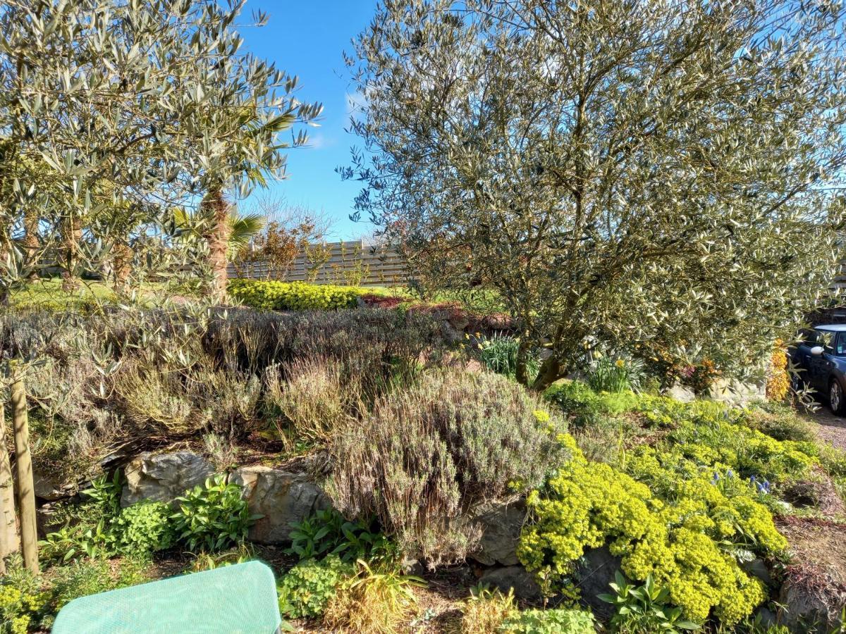 Havre de paix et jardin tropical. Chambre privée Le Rheu Exterior foto